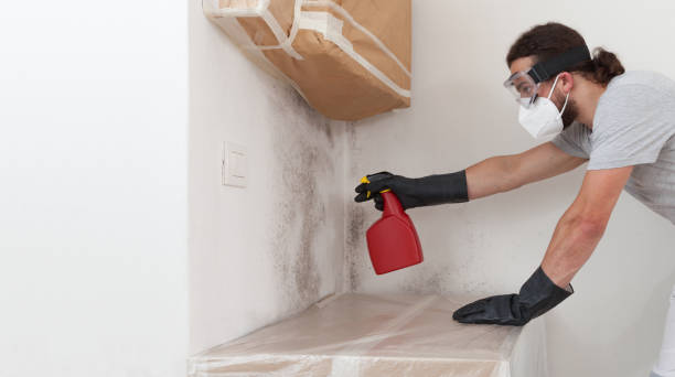 Professional Crawl Space Mold Remediation technician working in Oakhurst, NJ